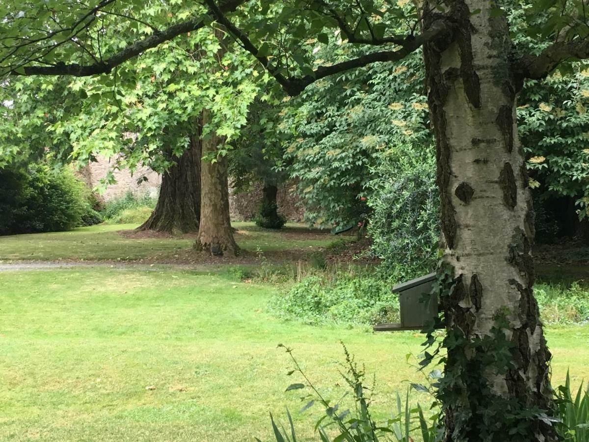 Hotel Au Rez De Jardin Cholet Zewnętrze zdjęcie
