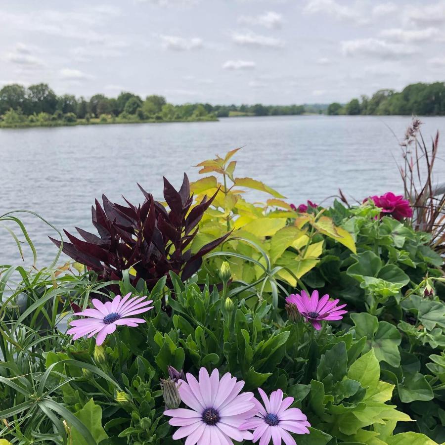 Hotel Au Rez De Jardin Cholet Zewnętrze zdjęcie