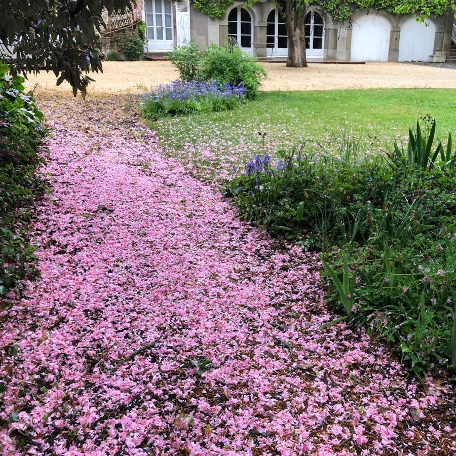 Hotel Au Rez De Jardin Cholet Zewnętrze zdjęcie