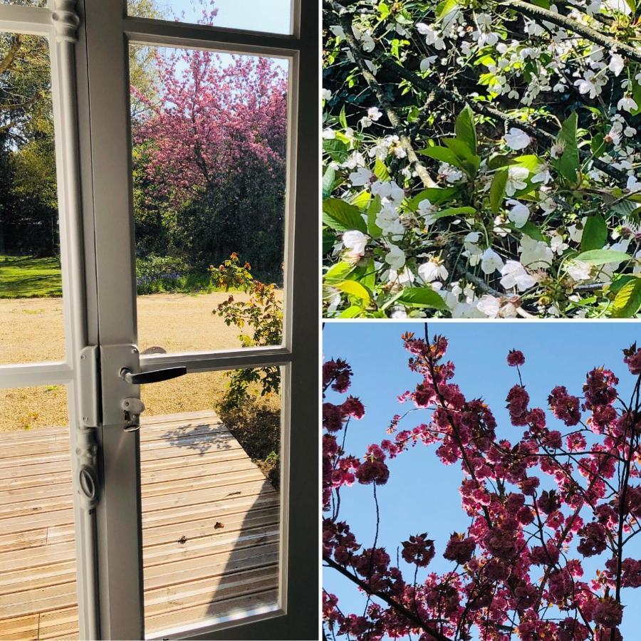 Hotel Au Rez De Jardin Cholet Zewnętrze zdjęcie