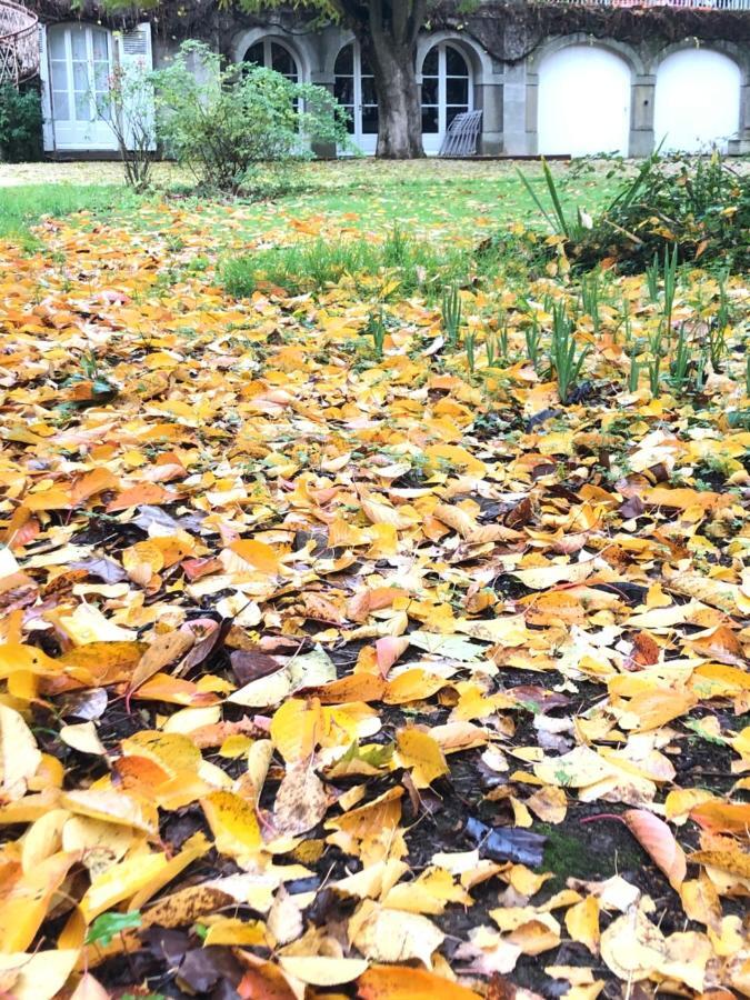 Hotel Au Rez De Jardin Cholet Zewnętrze zdjęcie